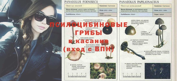 соль курить ск Бронницы