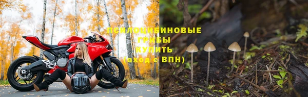 винт Бугульма