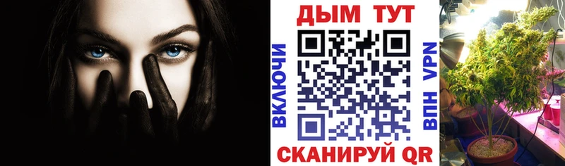 где купить наркотик  Бородино  Канабис план 
